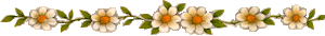 white floral bar